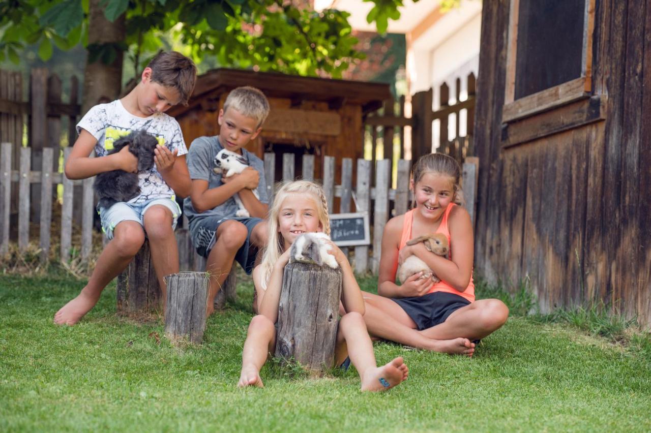 Familienbauernhof Samerhof Pfarrwerfen Exterior foto